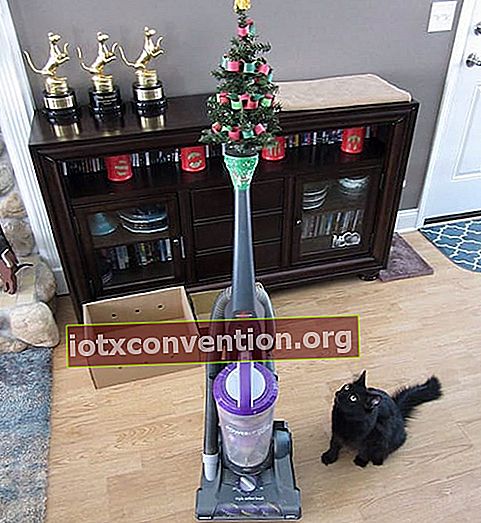Weihnachtsbaum, der an einen Staubsauger gehängt wird, um ihn vor der schwarzen Katze zu schützen