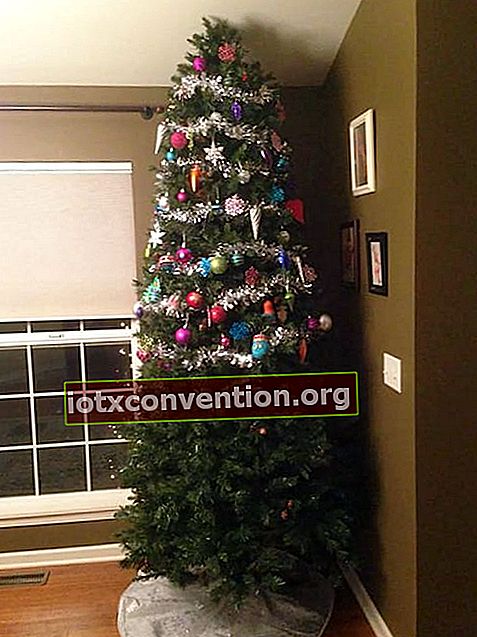 Weihnachtsbaum, der zur Hälfte geschmückt ist, um vom Haustier nicht beschädigt zu werden