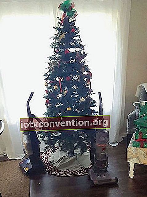Penyedot debu ditempatkan di depan pohon Natal untuk melindunginya dari anjing