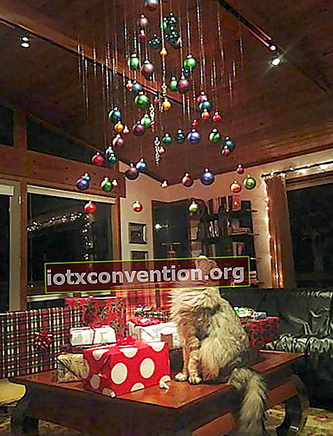 ลูกคริสต์มาสห้อยลงมาจากเพดานพร้อมกับแมวมองดูพวกมัน