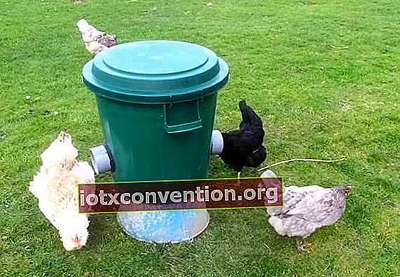 Hühnerfutterautomat in einem Mülleimer
