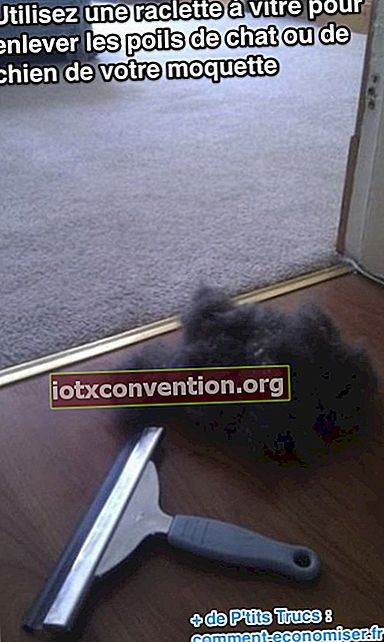 Usa una spatola per finestre per rimuovere i peli di animali dal tappeto