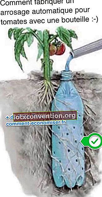 automatische Bewässerung mit Plastikflaschen Bewässerung