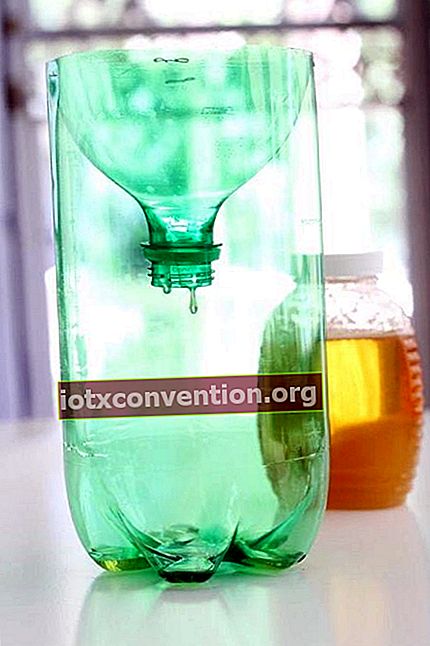 trappola per vespe con bottiglia di plastica