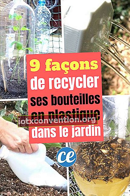 9 modi per riciclare le bottiglie di plastica in giardino
