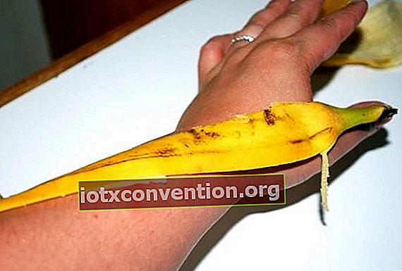 melegakan gigitan serangga dengan kulit pisang