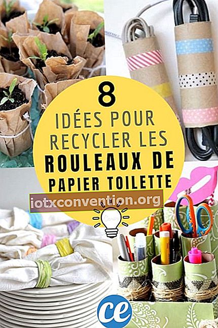8 Möglichkeiten, Toilettenpapierrollen zu recyceln