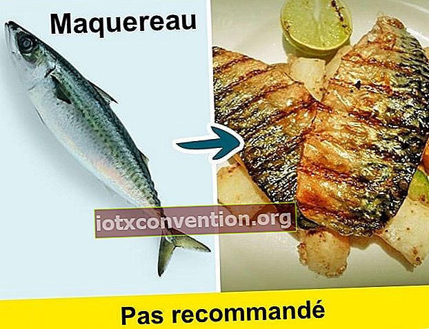 Ikan tenggiri merupakan salah satu ikan yang harus dihindari karena mengandung merkuri