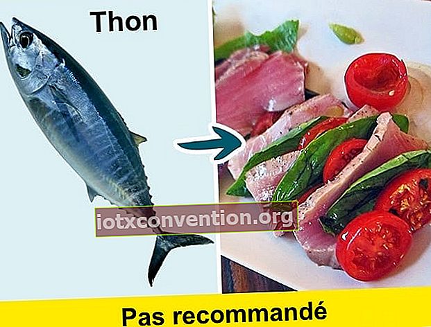 หลีกเลี่ยงการรับประทานปลาทูน่าเนื่องจากเป็นปลาที่มีสารปรอท