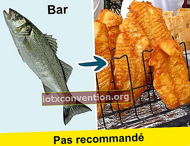 Hindari makan bass laut karena mengandung merkuri