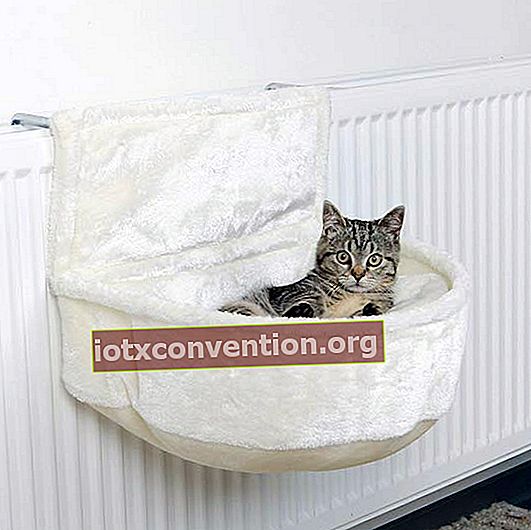 kandang murah untuk kucing yang menempel di radiator