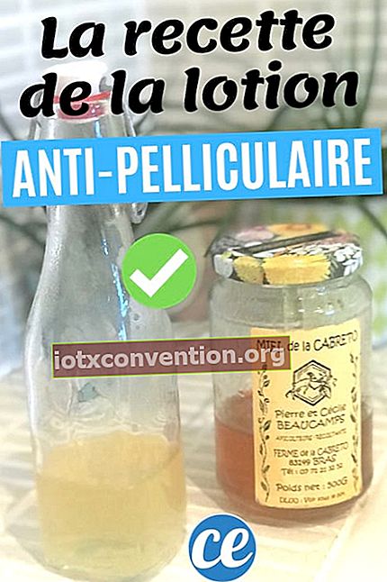 una piccola bottiglia di vetro trasparente di lozione antiforfora fatta in casa con un vasetto di miele