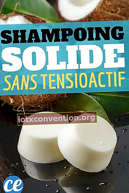 2 barrette di shampoo solido senza tensioattivi con latte di cocco
