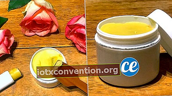 Sebotol lip balm buatan sendiri dengan madu, lilin lebah, dan shea butter