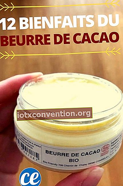 un vasetto di burro di cacao biologico bianco tenuto in mano con un testo: 12 Benefici del BURRO DI CACAO