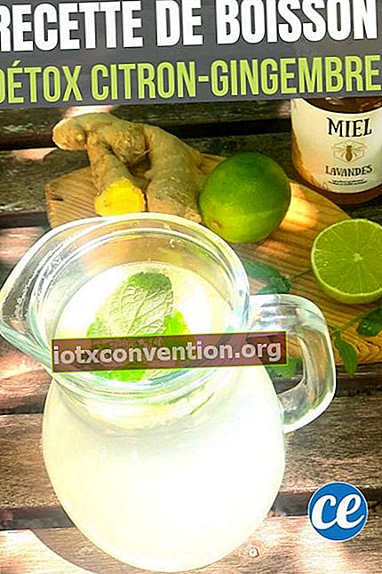 Ein Detox-Getränk aus Zitrone, Ingwer, Minze und Honig