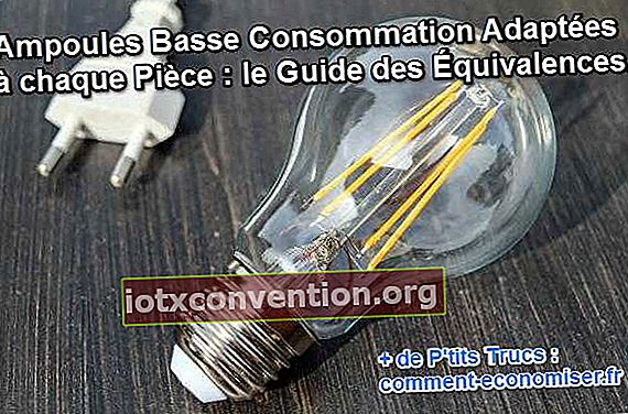 Gleichwertige Richtlinien für Glühbirnen mit geringem Verbrauch
