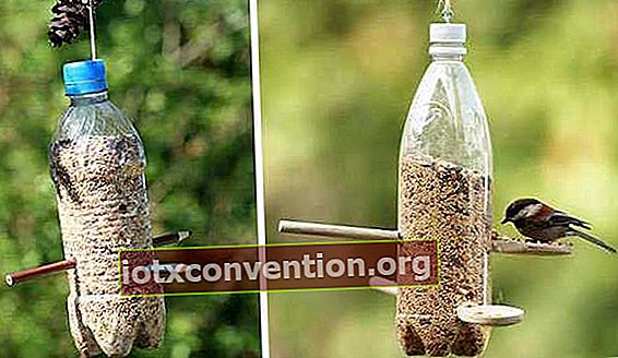 Bottiglie di plastica riciclate in mangiatoia per uccelli