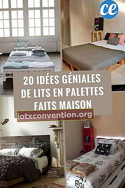20 contoh tempat tidur yang dibuat dengan palet