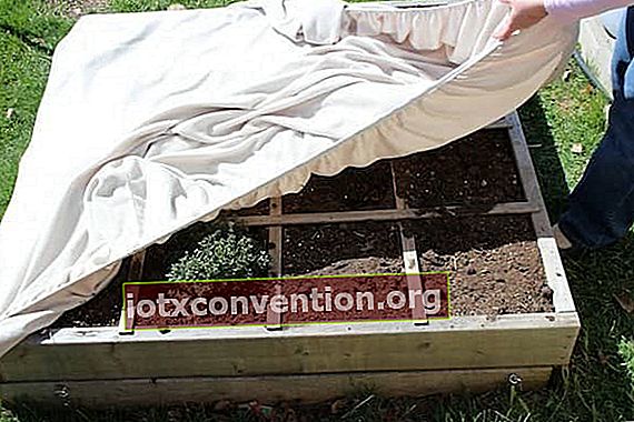Verwenden Sie ein altes Spannbetttuch, um Ihre Pflanzen zu schützen
