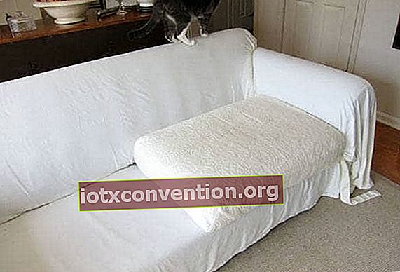 Riciclare il foglio protettivo per il divano