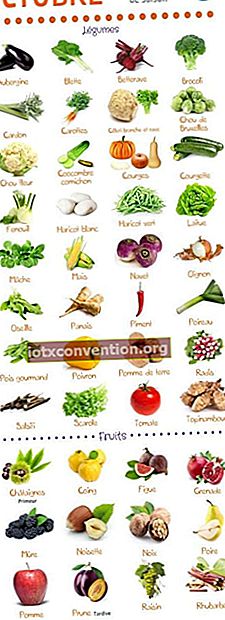 Buah-buahan dan sayur-sayuran apa yang ada pada bulan Oktober? Dapatkan panduan praktikal dan percuma kami