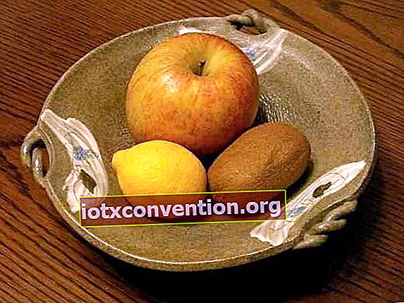 Tasse mit saisonalen Früchten: Äpfel, Kiwis, Zitrone
