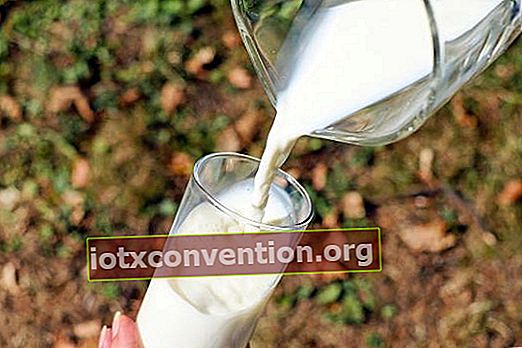 susu dikonsumsi setelah tanggal kadaluwarsa