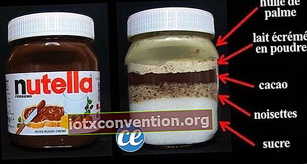 Berikut adalah bahan asli Nutella: minyak sawit, koko, kacang hazel, susu tepung skim dan gula