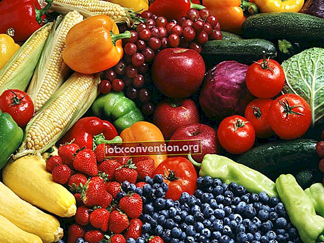 Nyaman dan Gratis: Kalender Buah dan Sayuran Musiman.