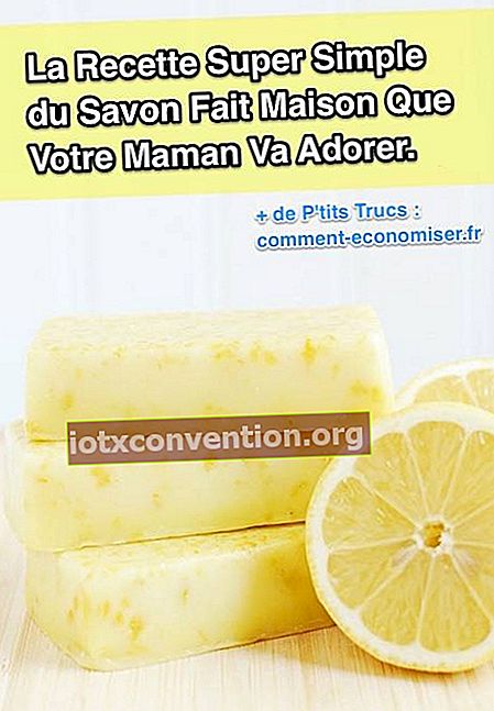 Resipi sabun lemon buatan sendiri: idea hadiah yang sangat baik untuk Hari Ibu