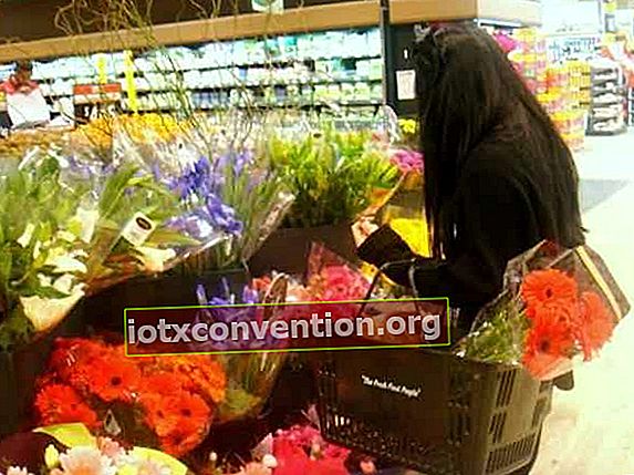 Membeli bunga di supermarket lebih murah