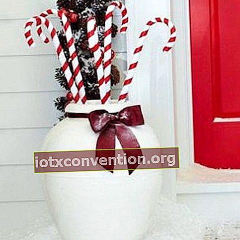 거대한 흰색 꽃병에 큰 빨간색과 흰색 사탕 지팡이