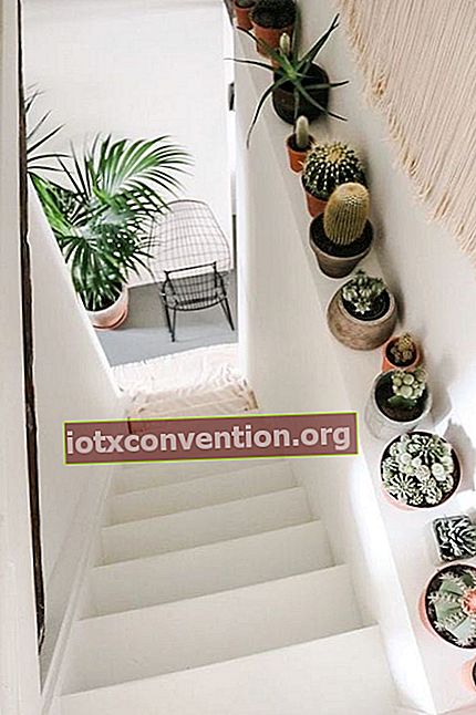 decorare le scale con cactus