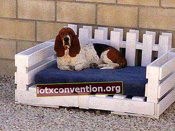 Usa un pallet di legno per fare un letto per cani