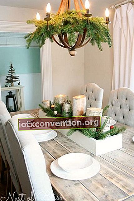 Tavolo decorato con arbusto