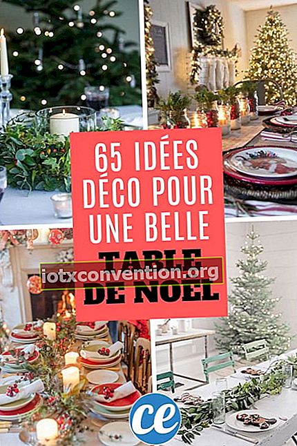 65 idee di decorazione per una splendida tavola di Natale (facile ed economica).