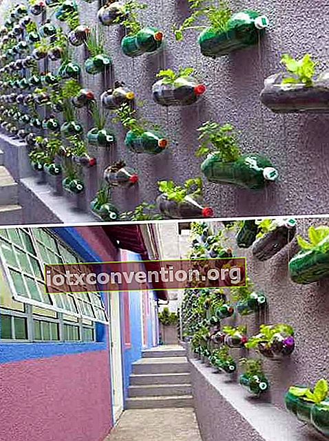 Erstellen Sie einen hängenden Garten mit einer recycelten Flasche