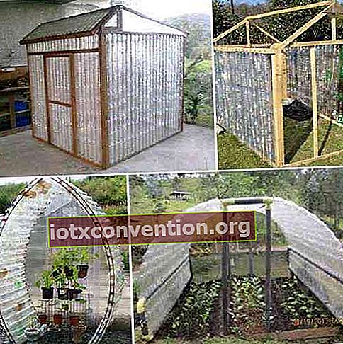 hur man gör växthus för trädgård med återvunnen flaska