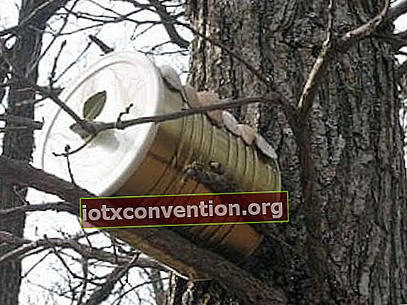 大きなブリキ缶が巣箱を形成する