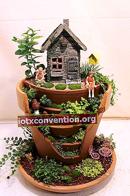 Un mini giardino decorativo in un vaso rotto