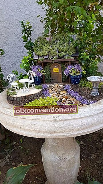 ein dekorativer Miniaturgarten in einem Vogelbad