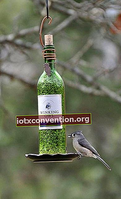 Weinflasche als Vogelhäuschen wiederverwendet