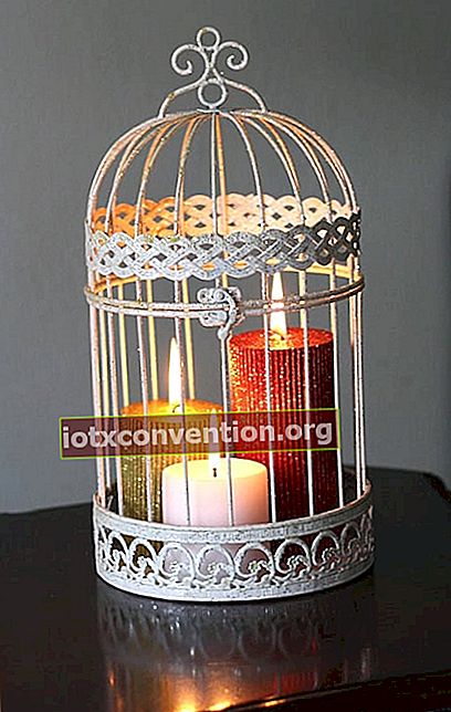 candele in gabbia per uccelli