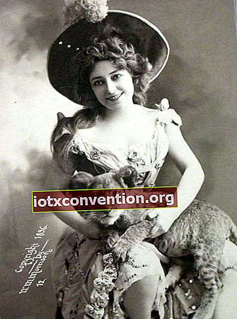 Donna seduta su una sedia dotata di un cappello che tiene in braccio un cucciolo di leone
