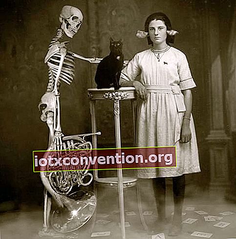 Skelett hält ein Instrument mit einer schwarzen Katze vor sich und einer weiß gekleideten Frau mit Papier in den Ohren