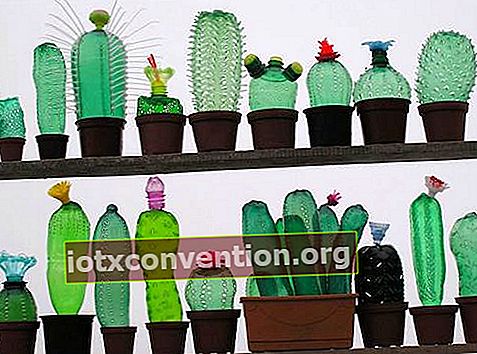 Kakteen aus Plastikflaschen