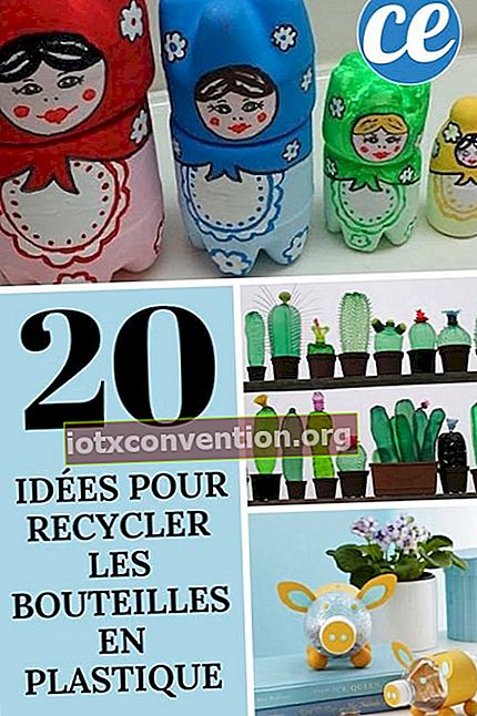 20 ide untuk mendaur ulang botol plastik