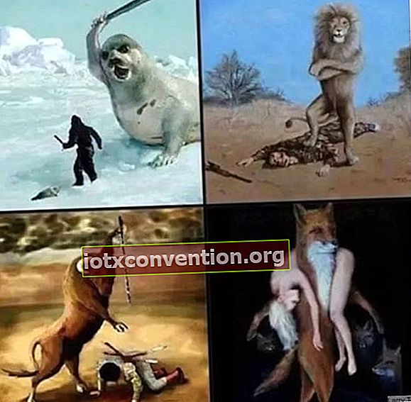 mänsklig grymhet mot djur sett från en annan vinkel