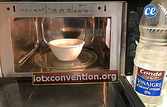 Eine mit weißem Essig gefüllte Schüssel in der Mikrowelle zur einfachen Reinigung